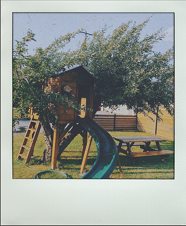 The treehouse located at Mom and Pop's Farm Market, designed to entertain the children while the adult's are at the grocery store.